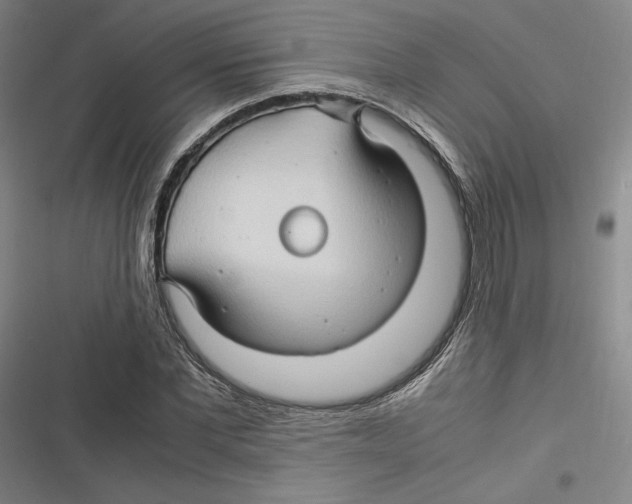 X0000116680877201001111329