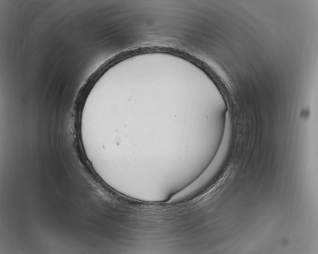 X0000116680878201001111329