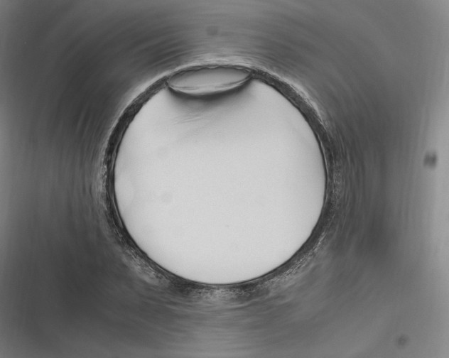 X0000116680879201001111329