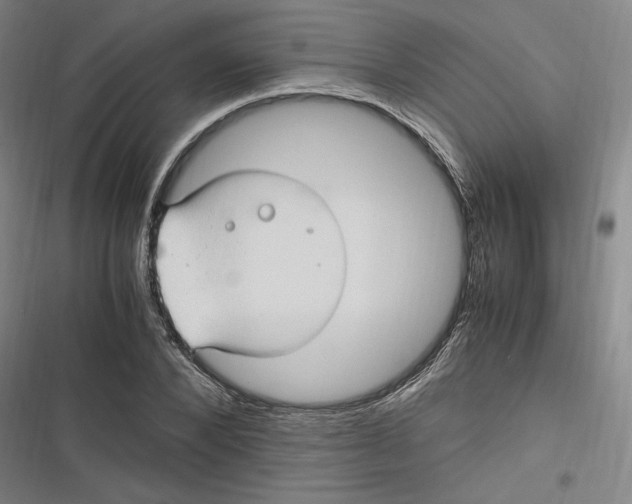 X0000116680880201001111329