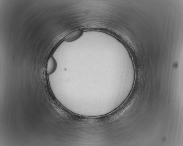 X0000116680881201001111329