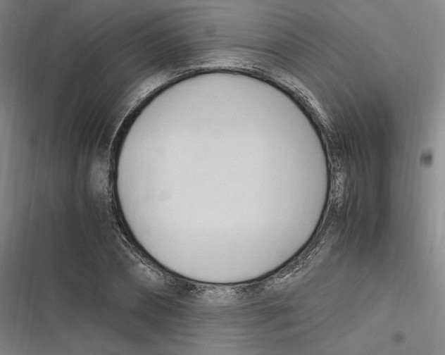 X0000116680882201001111329