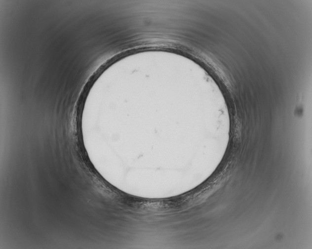 X0000116680883201001111329