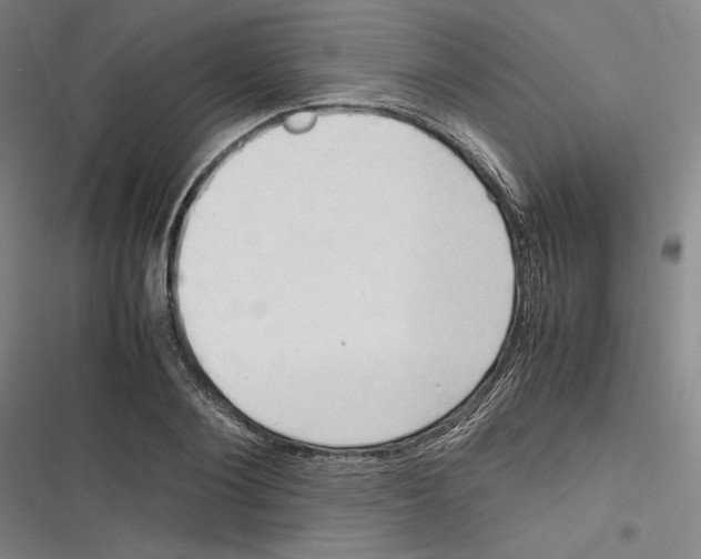 X0000116680884201001111329