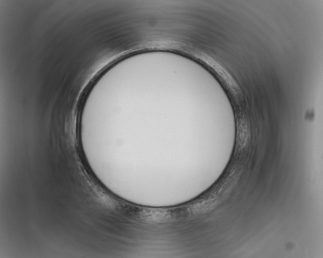 X0000116680886201001111329