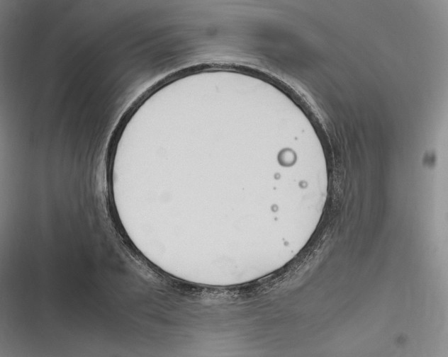 X0000116680887201001111329