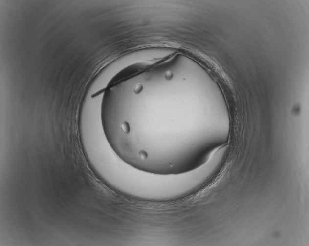 X0000116680889201001111329