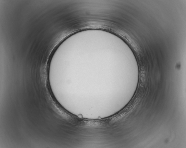 X0000116680890201001111329