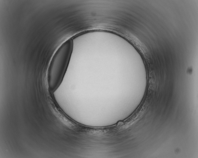 X0000116680892201001111329