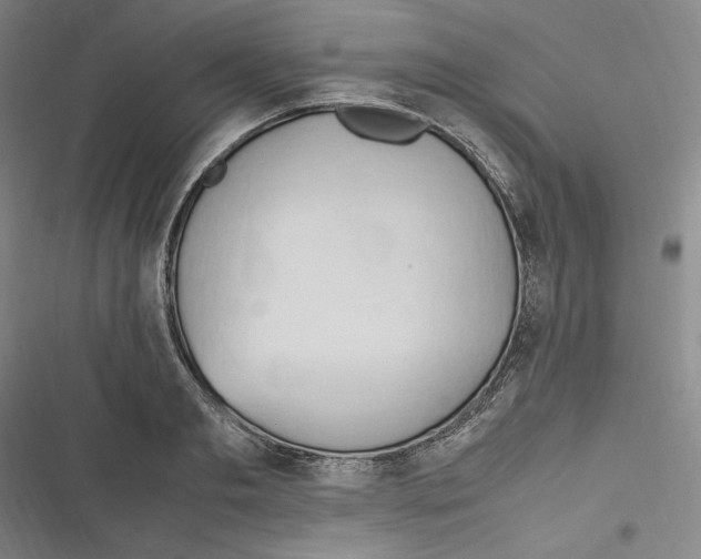 X0000116680893201001111329