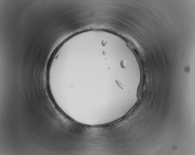 X0000116680894201001111329