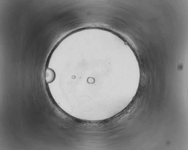 X0000116680895201001111329