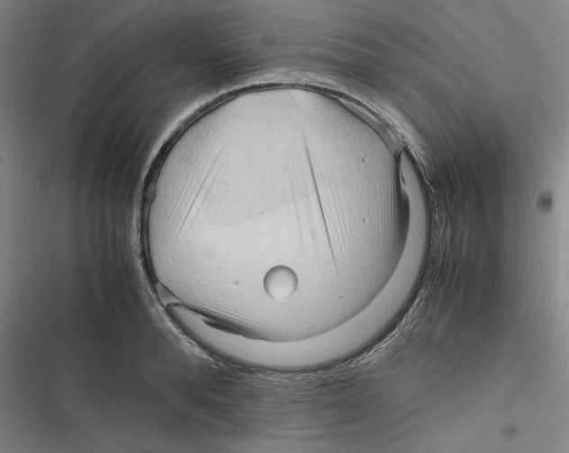 X0000116680896201001111329