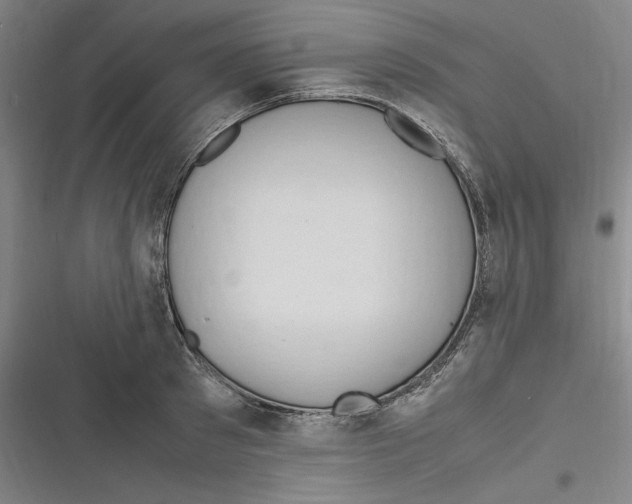 X0000116680897201001111329