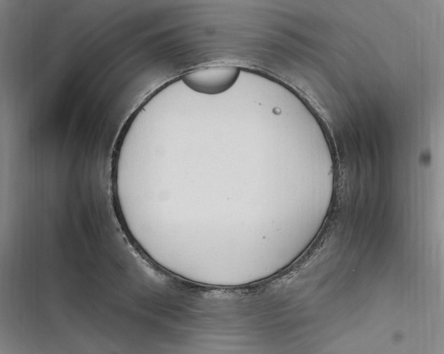 X0000116680898201001111329