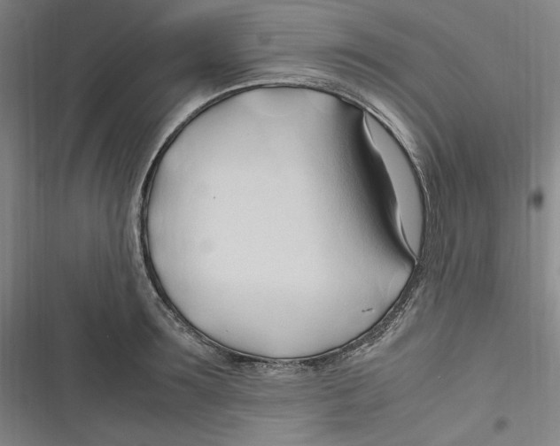 X0000116680899201001111329