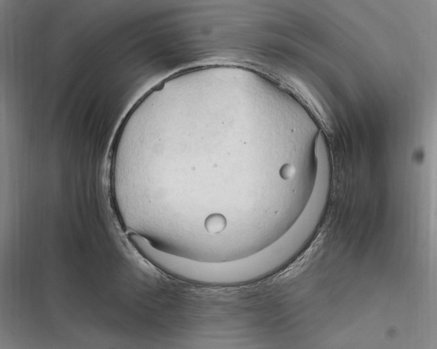 X0000116680900201001111329