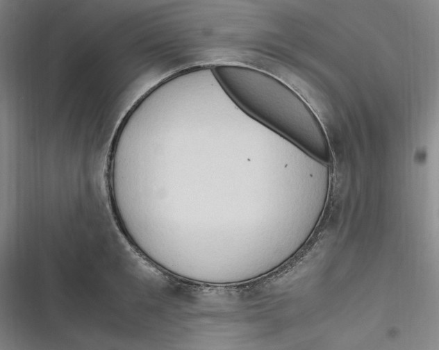 X0000116680901201001111329