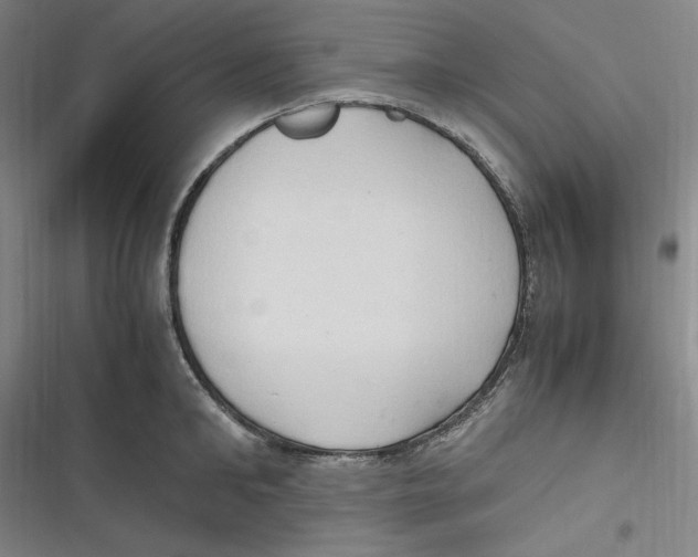 X0000116680902201001111329