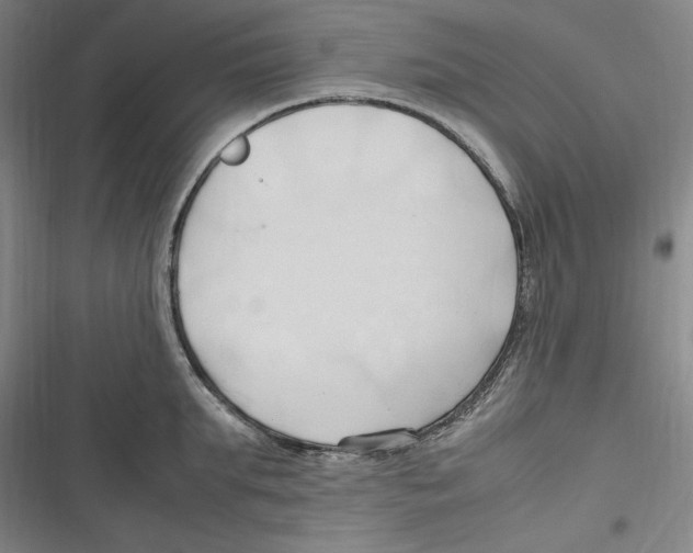 X0000116680903201001111329