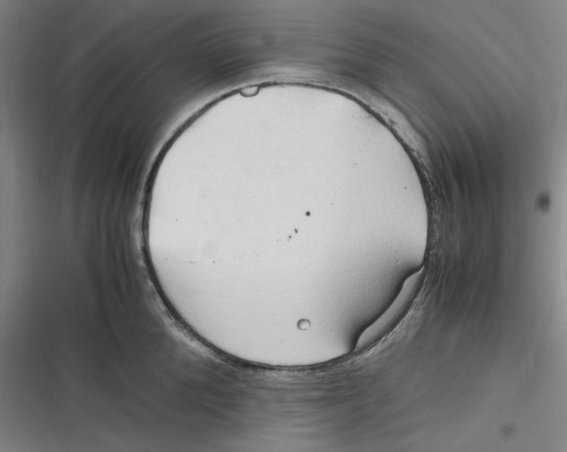 X0000116680904201001111329