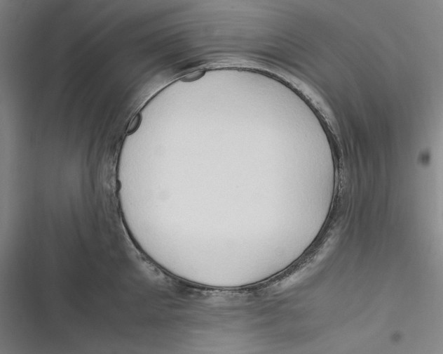 X0000116680905201001111329