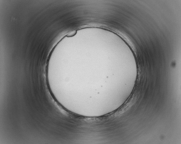 X0000116680906201001111329