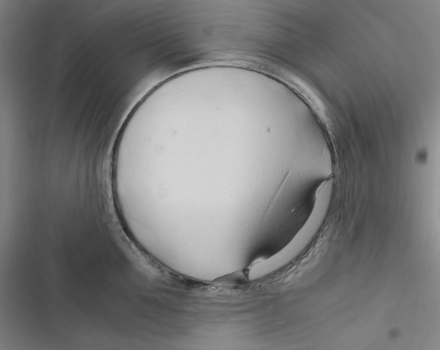 X0000116680907201001111329