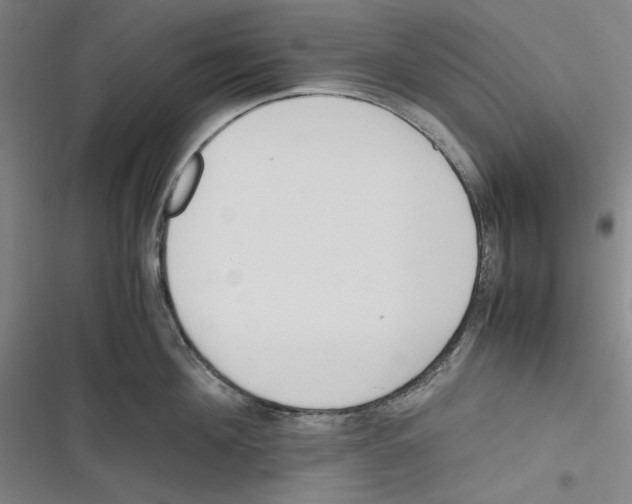 X0000116680908201001111329