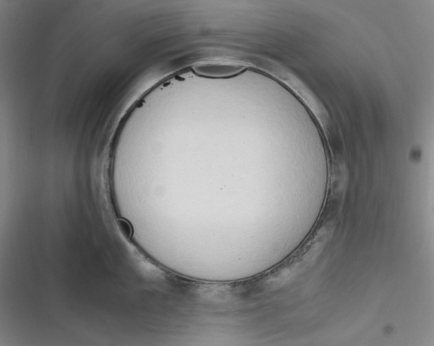 X0000116680909201001111329