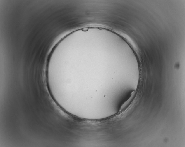 X0000116680910201001111329