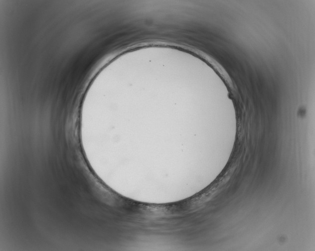 X0000116680911201001111329