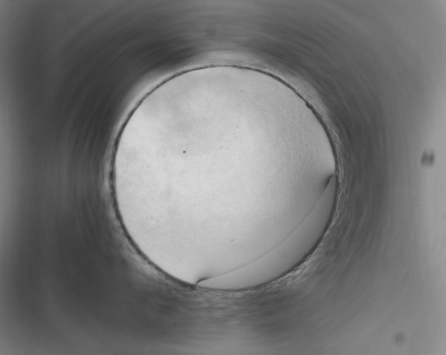 X0000116680912201001111329