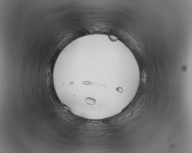 X0000116680915201001111328