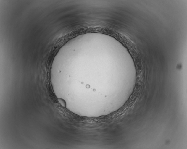 X0000116680917201001111328