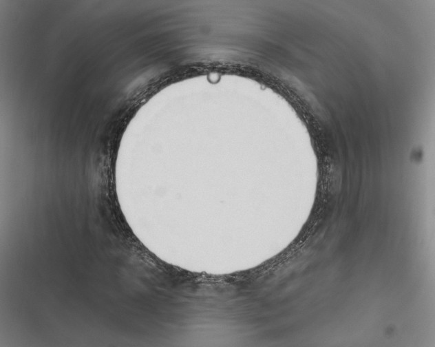 X0000116680918201001111328