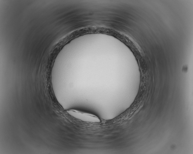 X0000116680919201001111328