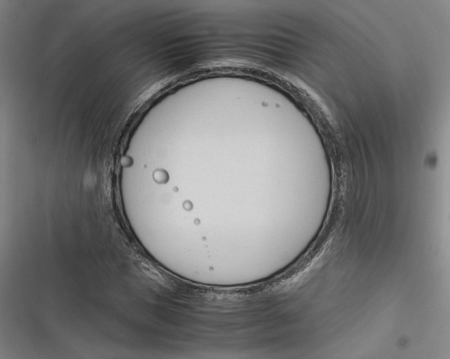 X0000116680921201001111328