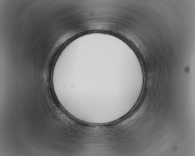 X0000116680922201001111328