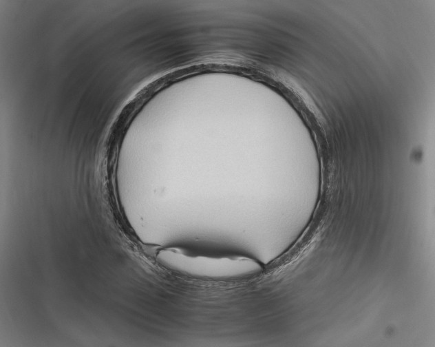 X0000116680923201001111328