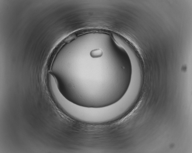 X0000116680925201001111328