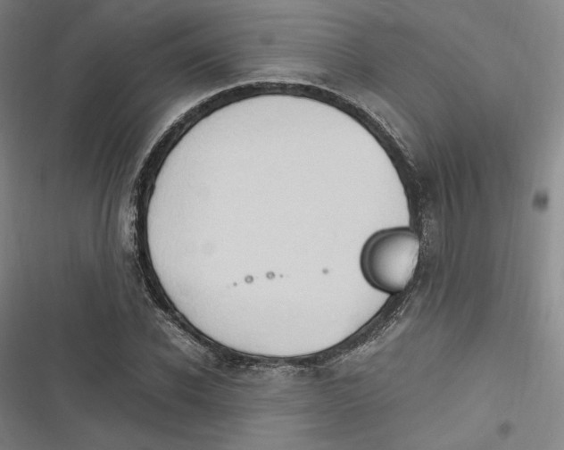 X0000116680926201001111328