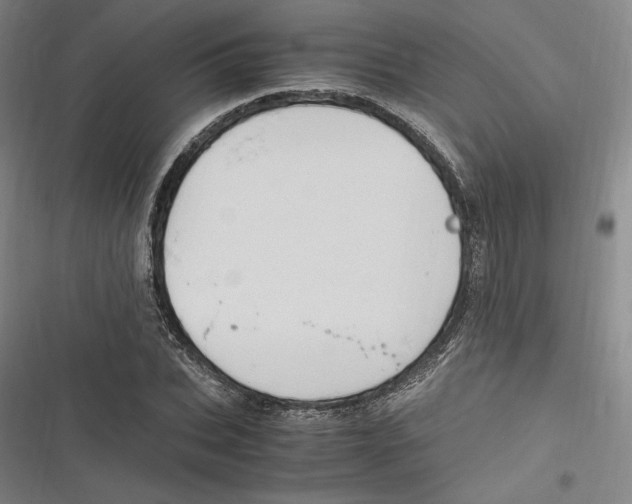 X0000116680927201001111329