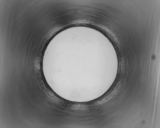 X0000116680929201001111329