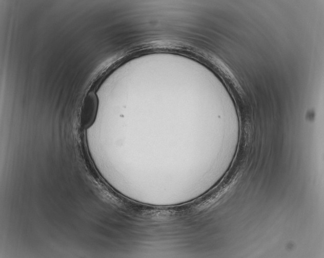 X0000116680930201001111329