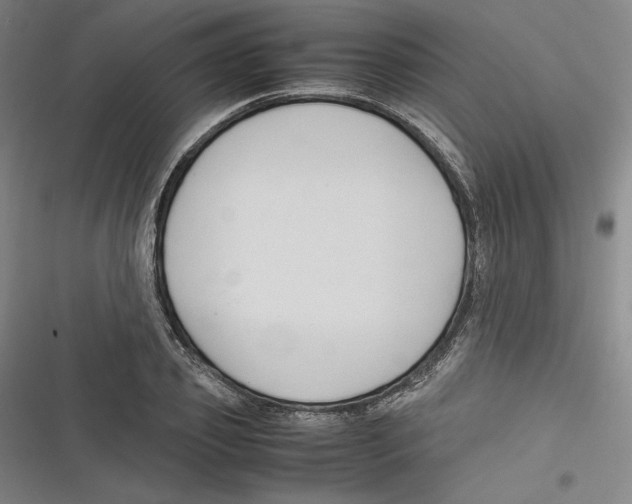 X0000116680933201001111329