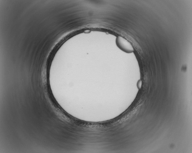 X0000116680934201001111329