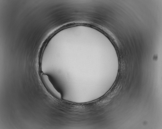 X0000116680935201001111329