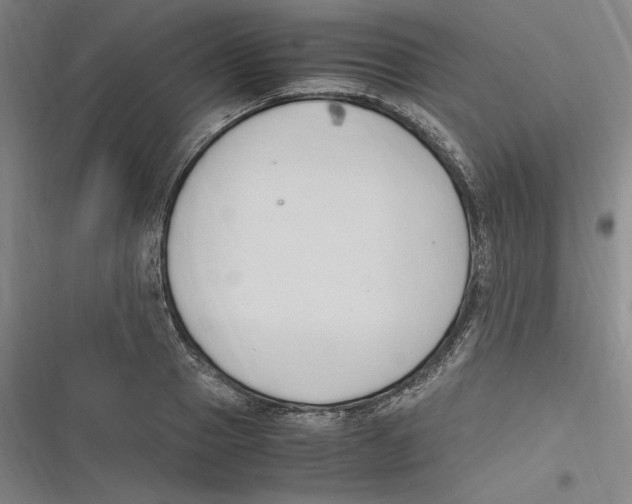 X0000116680937201001111329