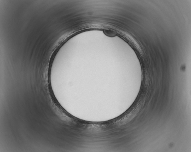 X0000116680938201001111329